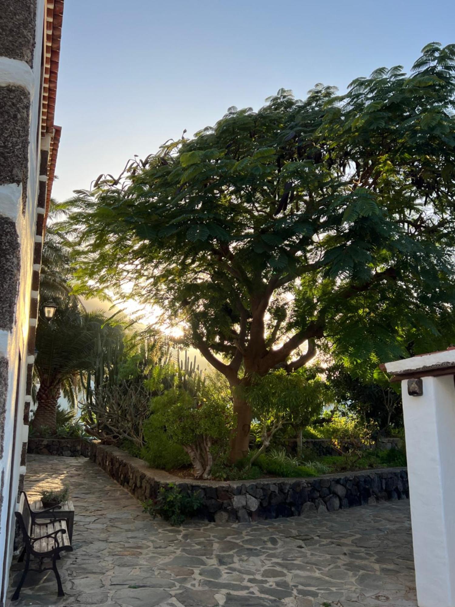Finca Exclusiv La Mareta Agaete  Exterior photo
