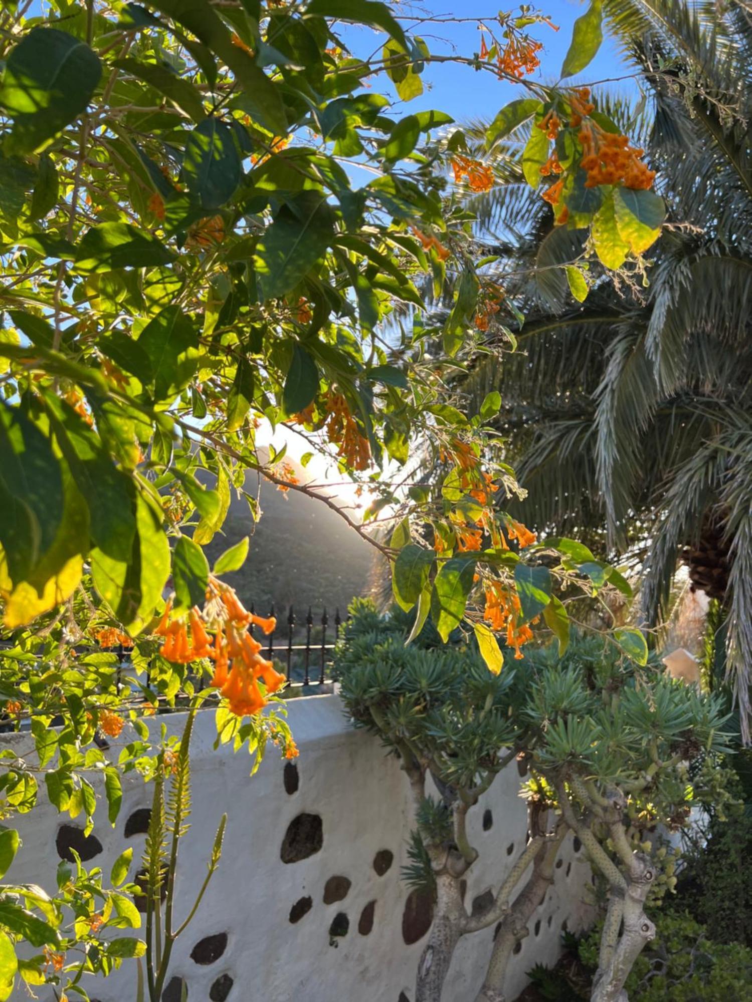 Finca Exclusiv La Mareta Agaete  Exterior photo